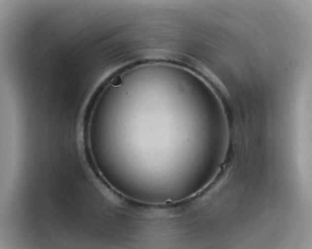 X0000114490976200910191227