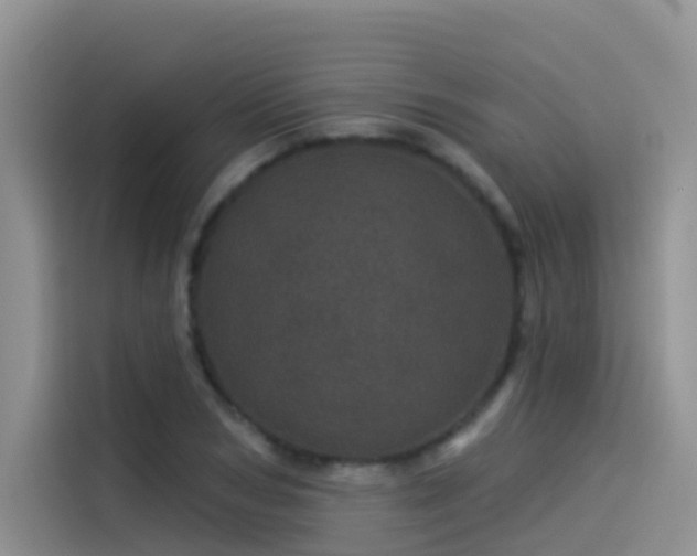 X0000114490978200910191227