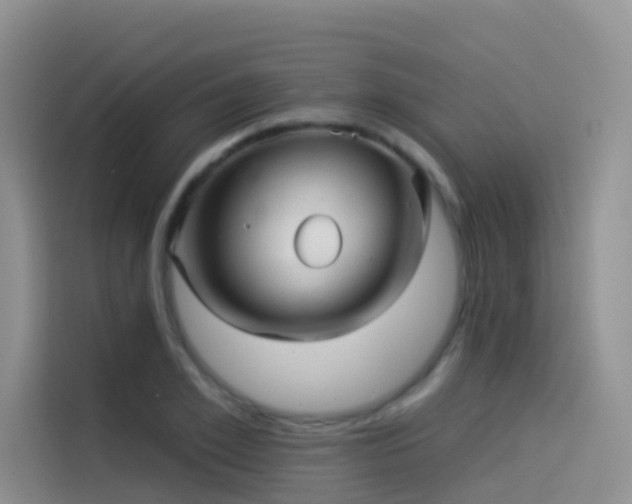 X0000114490981200910191227