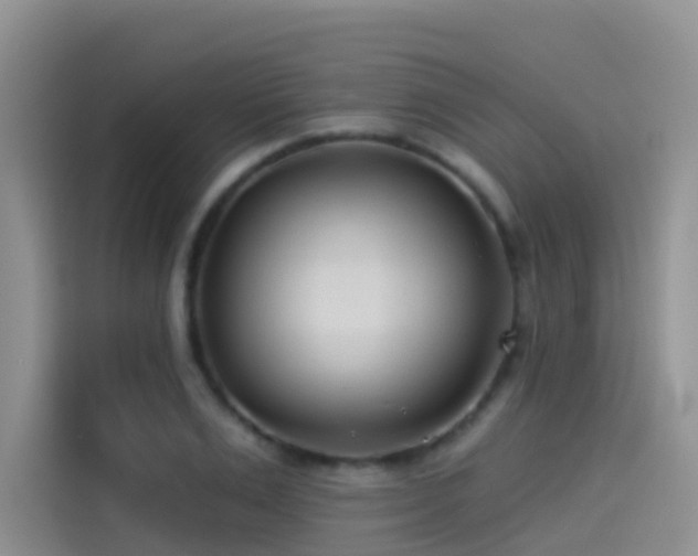 X0000114490983200910191227