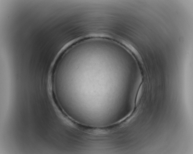 X0000114490984200910191227