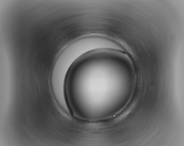 X0000114490985200910191227