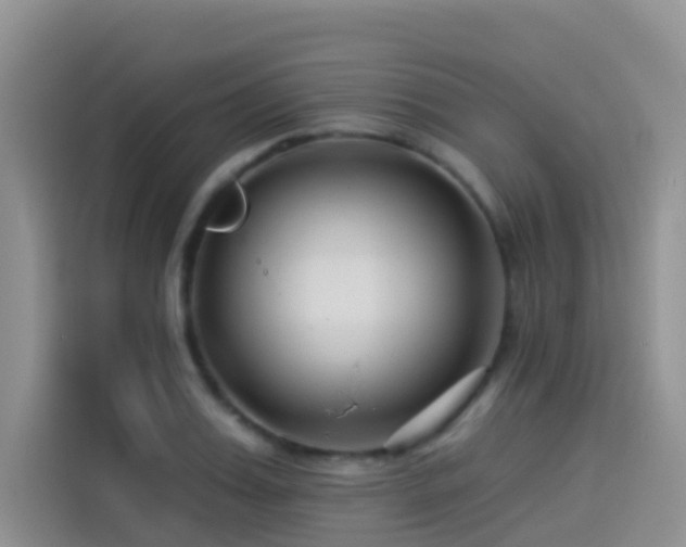 X0000114490987200910191227