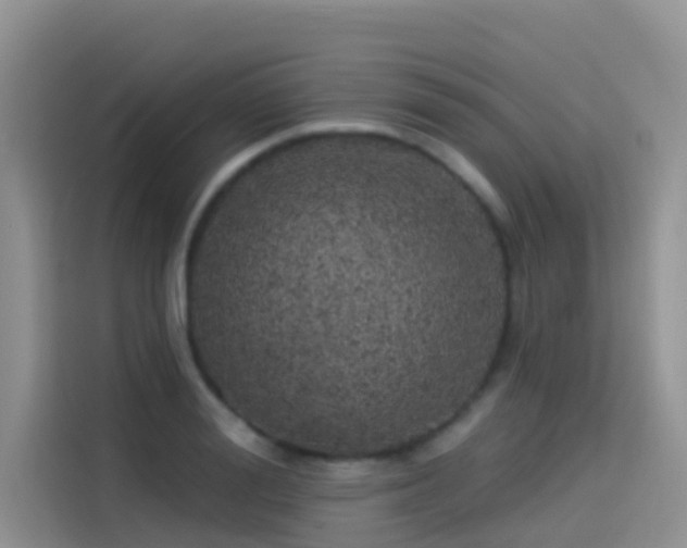 X0000114490988200910191227