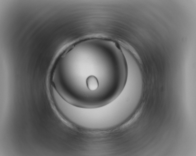 X0000114490989200910191227