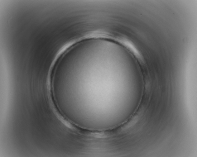 X0000114490990200910191227