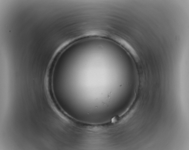 X0000114490991200910191227