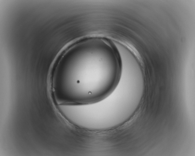 X0000114490992200910191227