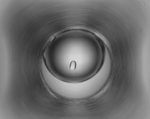 X0000114490993200910191227