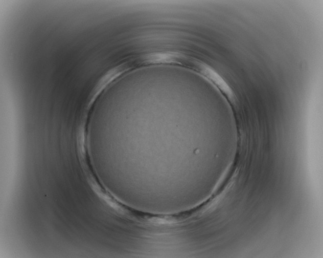 X0000114490994200910191227