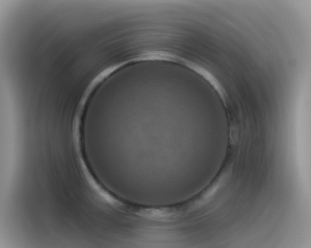 X0000114490995200910191227