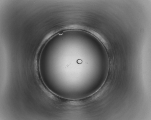 X0000114490998200910191227