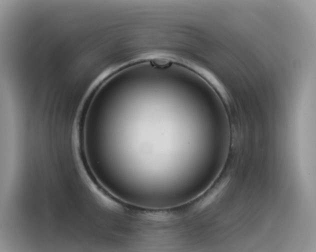 X0000114490999200910191227