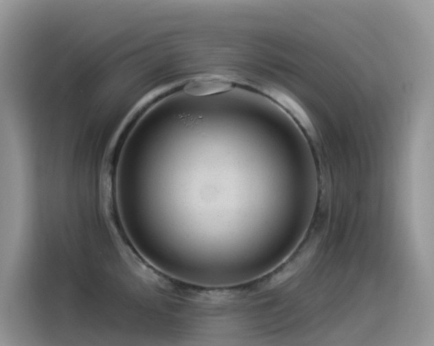 X0000114491000200910191227