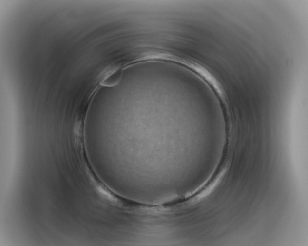 X0000114491001200910191227
