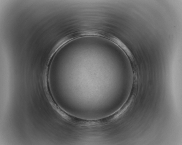 X0000114491002200910191227