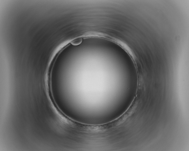X0000114491003200910191227