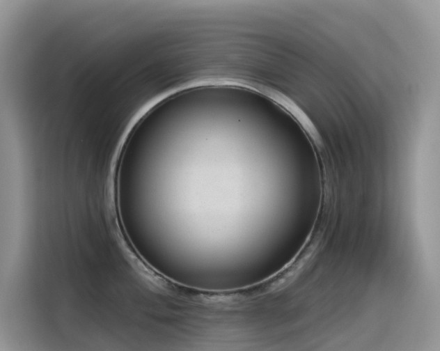 X0000114491004200910191227