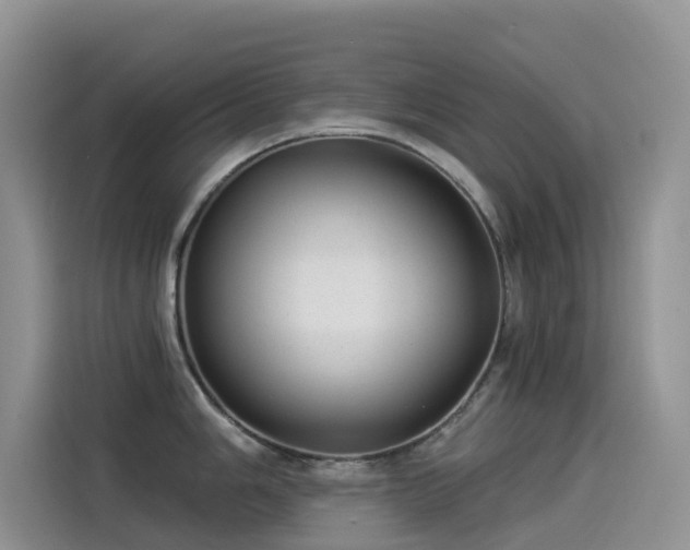 X0000114491006200910191227