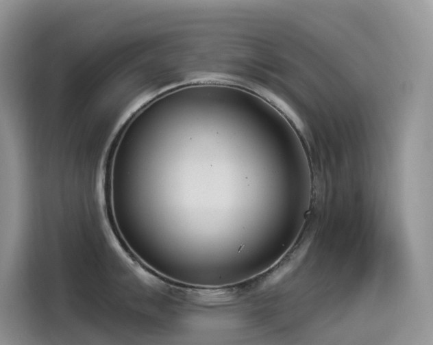 X0000114491007200910191227