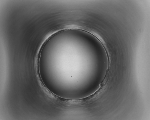 X0000114491008200910191227