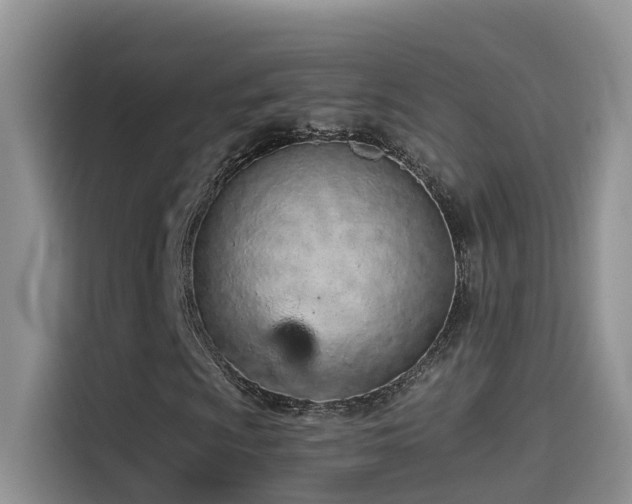 X0000114491009200910191226