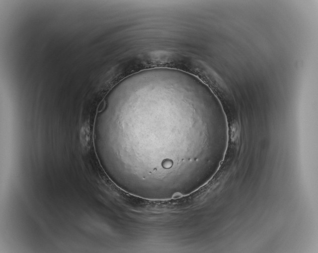 X0000114491011200910191226