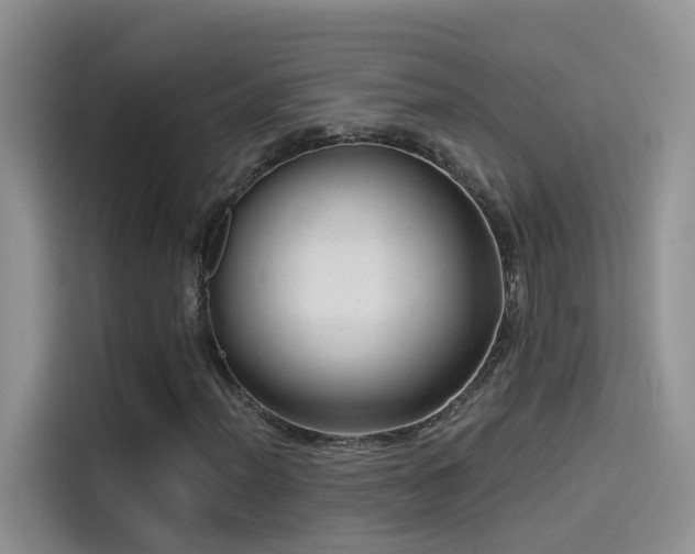 X0000114491012200910191226