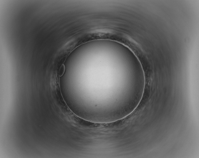 X0000114491014200910191226