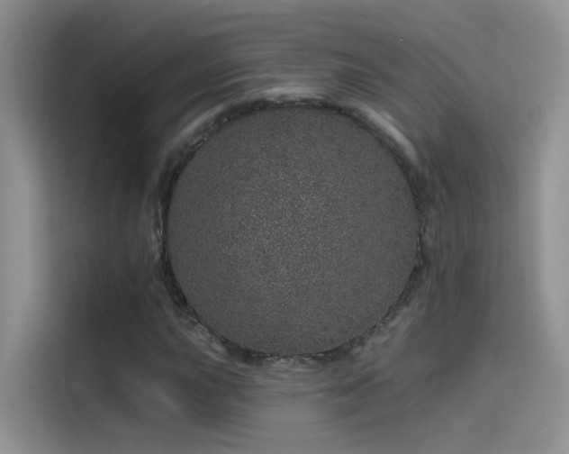 X0000114491015200910191226