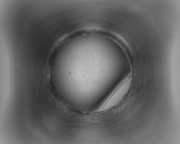 X0000114491016200910191226