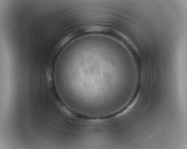 X0000114491017200910191226