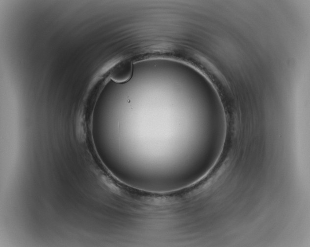 X0000114491018200910191226