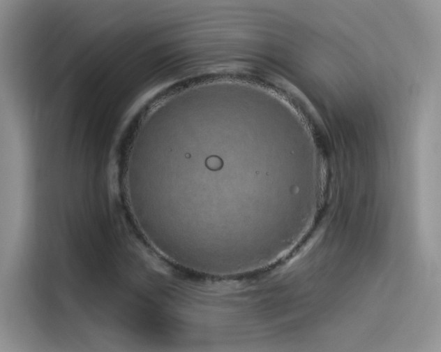 X0000114491019200910191226