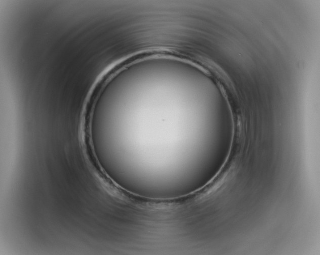 X0000114491020200910191226