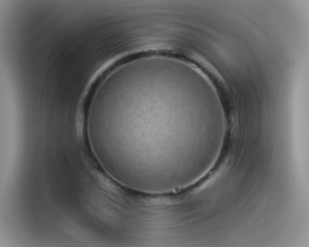 X0000114491021200910191226