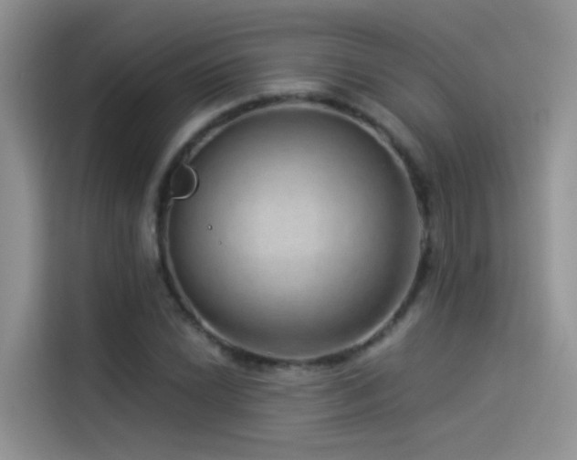 X0000114491022200910191226