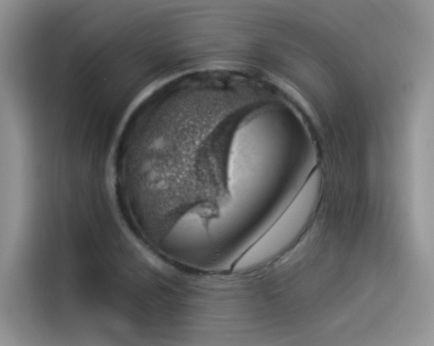 X0000114491024200910191227