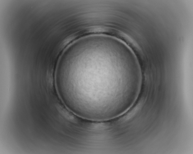 X0000114491025200910191227
