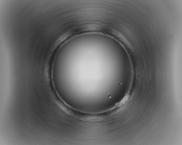 X0000114491026200910191227