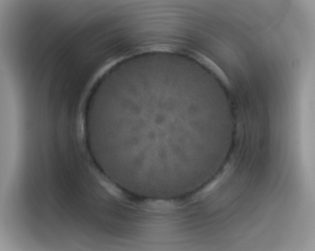 X0000114491027200910191227