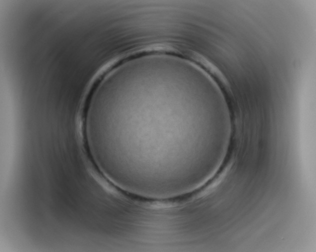 X0000114491029200910191227
