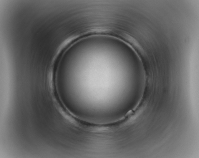 X0000114491030200910191227