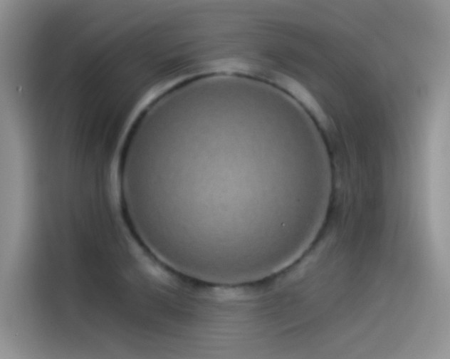 X0000114491032200910191227