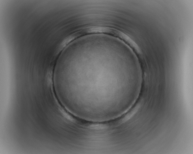 X0000114491033200910191227