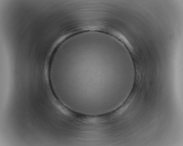 X0000114491035200910191227