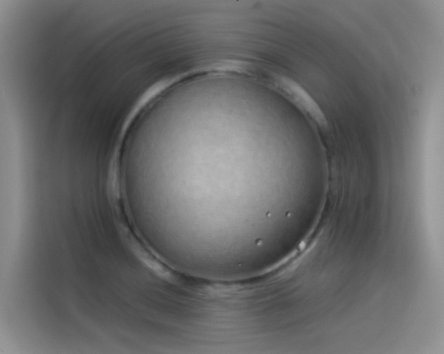 X0000114491036200910191227