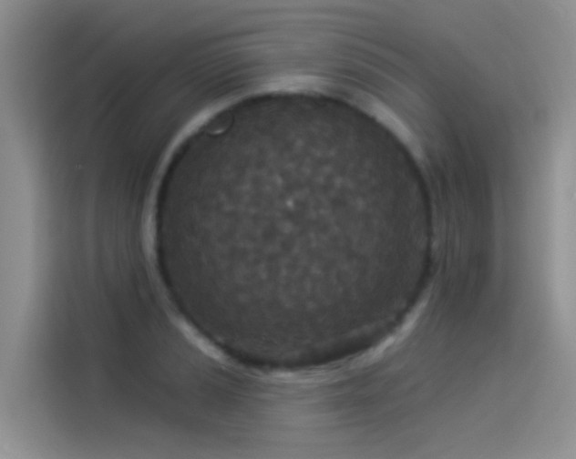 X0000114491037200910191227