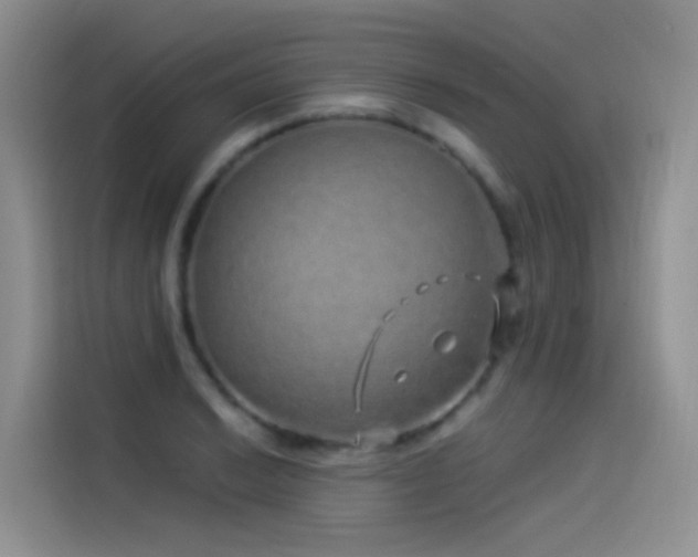 X0000114491038200910191227