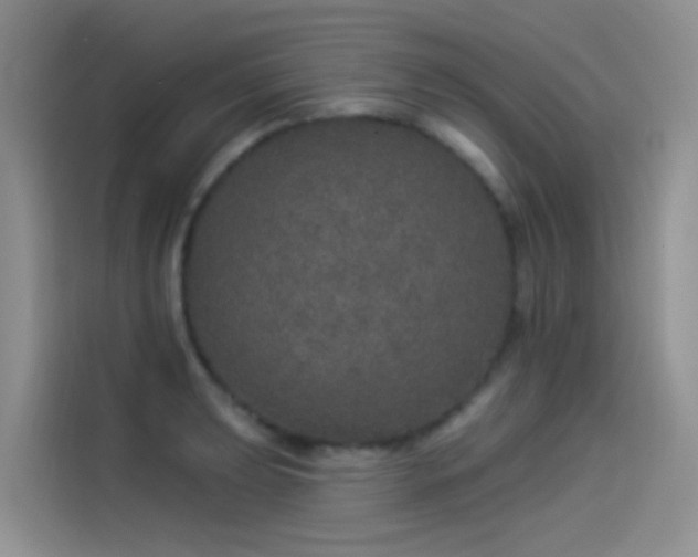 X0000114491039200910191227